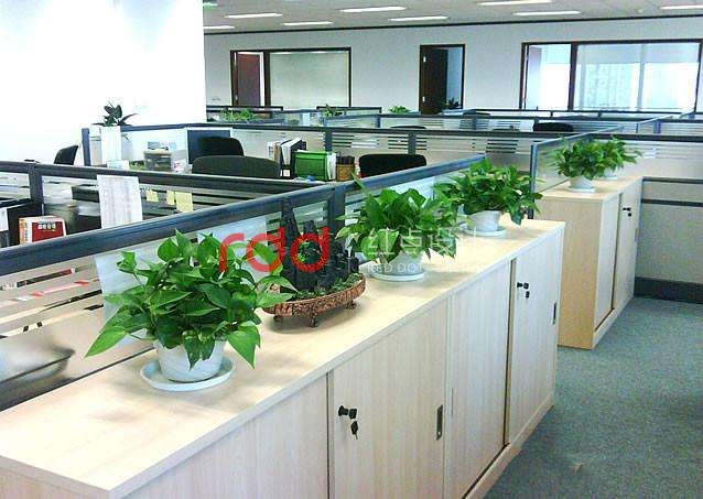 timg (2).jpg timg (2).jpg